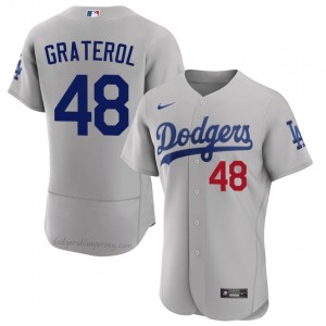 Los Angeles Dodgers Brusdar Graterol #48 Gray Men Premium Jersey | MLB Collectible Baseball Uniform 6W602M15