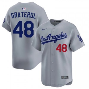 Brusdar Graterol #48 Grey Baseball Jersey | Men L.A. Dodgers Premium MLB Uniform r0Fnl812