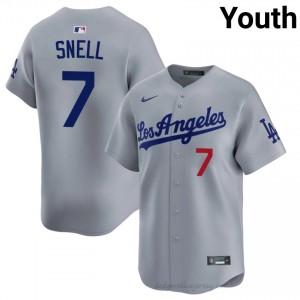 Youth Blake Snell #7 L.A. Dodgers Grey Elite Baseball Jersey| Embroidery Authentic 230XAB36