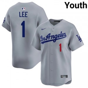 Youth Brandon Lee #1 L.A. Dodgers Grey Elite Baseball Jersey| Embroidery Authentic T2761v59
