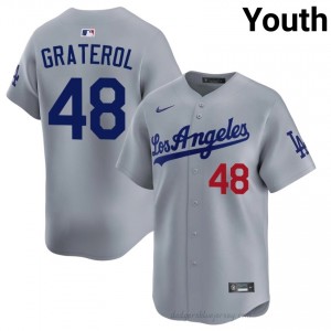 L.A. Dodgers Brusdar Graterol #48 Grey Youth Premium Jersey | MLB Collectible Baseball Uniform 124AQL27