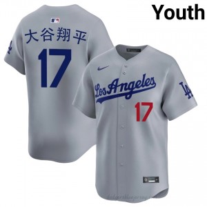 Youth Shohei Ohtani #17 Grey Alternate Limited Baseball Jersey | L.A. Dodgers Official MLB Design tay31d21